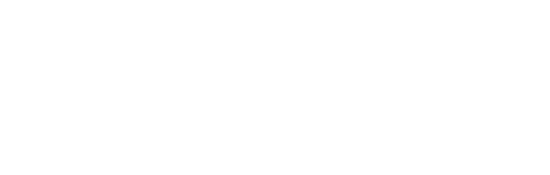 logo playvolt white
